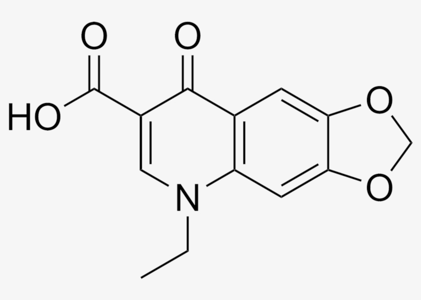 Oxolinic Acid - 2 5 Pyridinedicarboxylic Acid, transparent png download