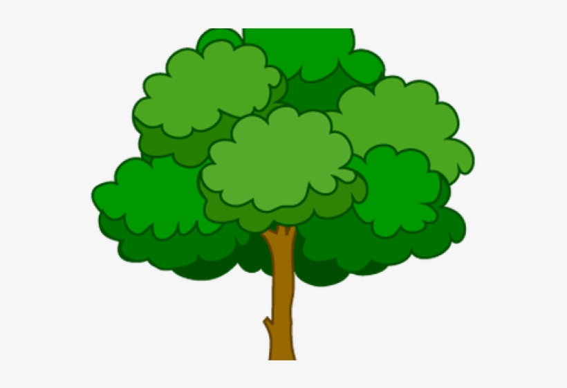 Larger Clipart Mango Tree - شجرة كليب ارت, transparent png download