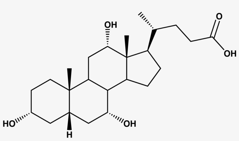 Cholic Acid - Structure, transparent png download