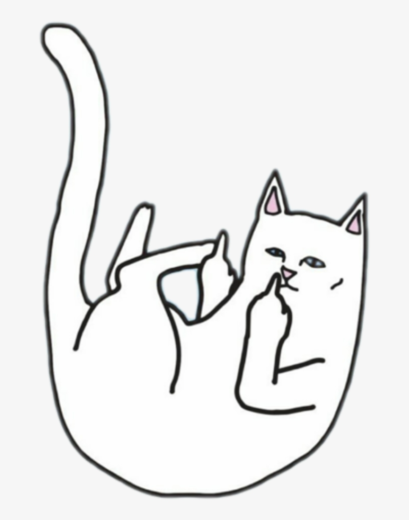 #cat #rude #finger #attitude - Tシャツ A, transparent png download