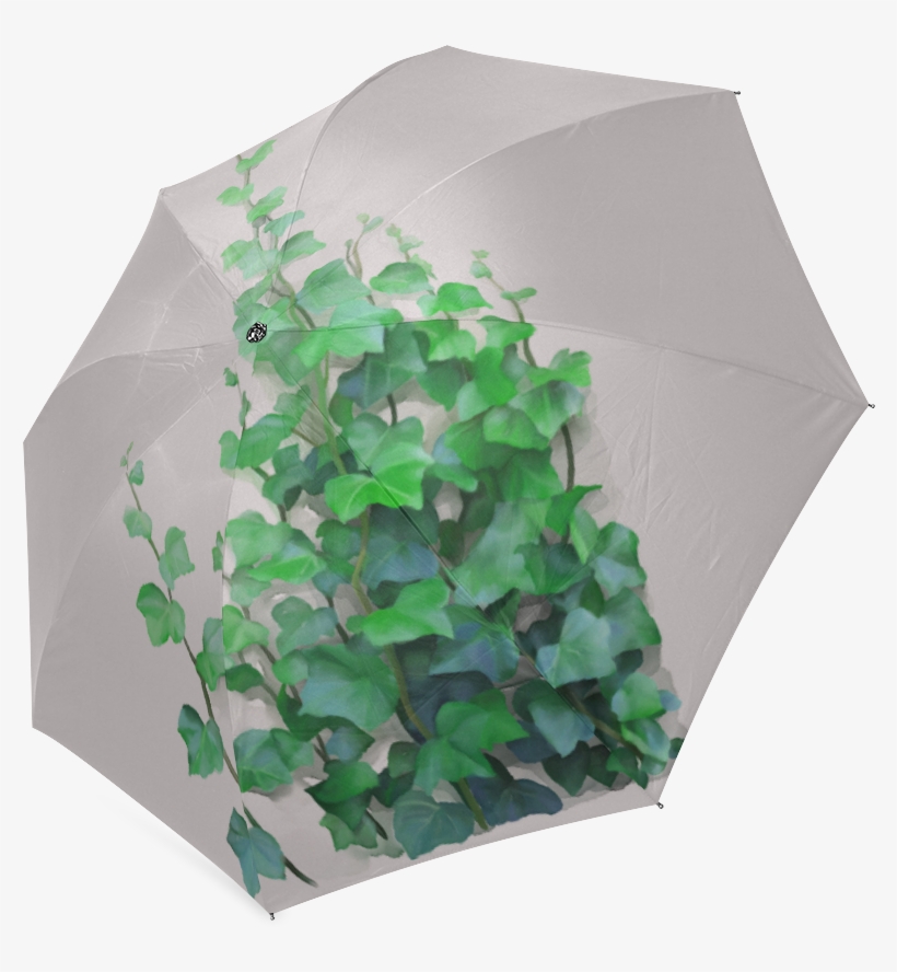 Umbrella, transparent png download