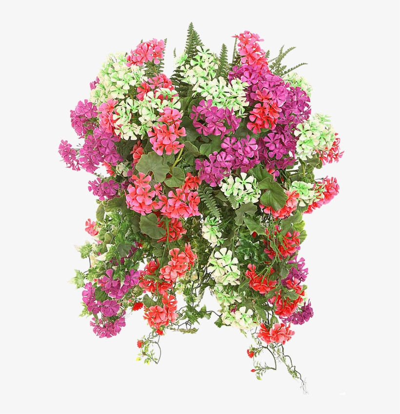 Photo Summer - Hanging Flower Baskets, transparent png download