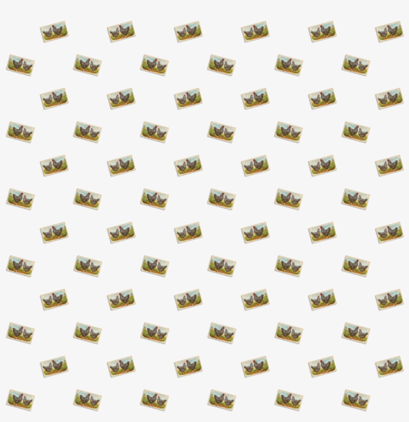 Vintage Overlay Png - Owl, transparent png download