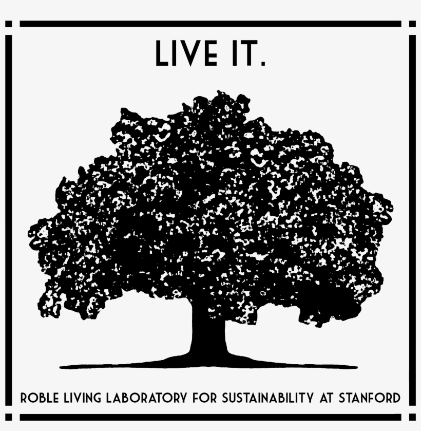 Roble Hall Institutes New Sustainability Initiative - Tree, transparent png download