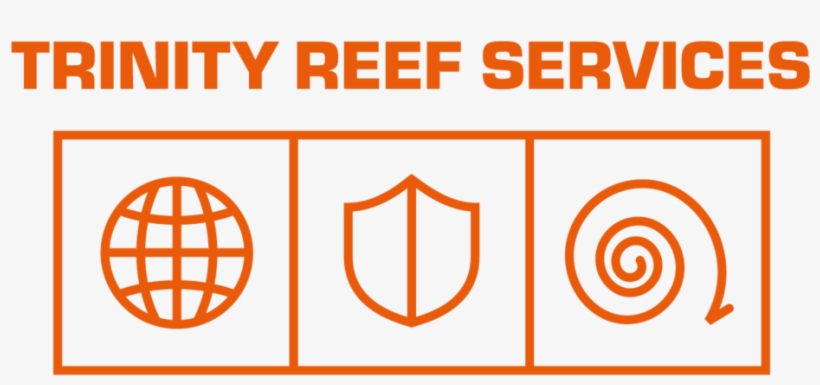 Trs Logo Master 2018 Org On Org - World Bank, transparent png download