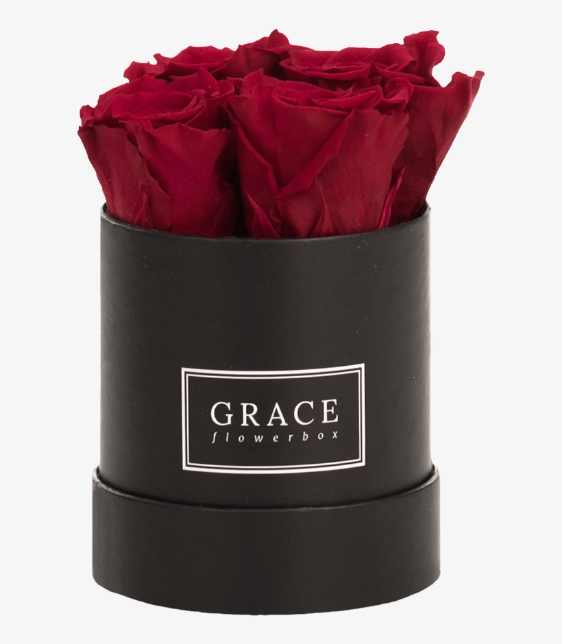 Garden Roses, transparent png download