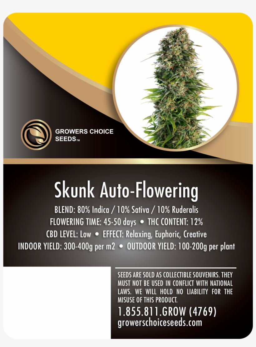 Home » Products » Skunk Auto-flowering Feminized Cannabis - Sour Kush Autoflower, transparent png download