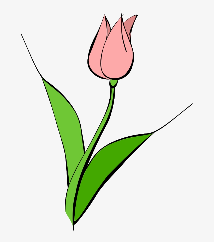 659 X 850 13 - Tulip Clip Art Transparent, transparent png download