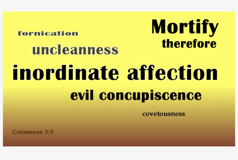 Homosexualism Is A Sin Against Faith - Colorfulness, transparent png download