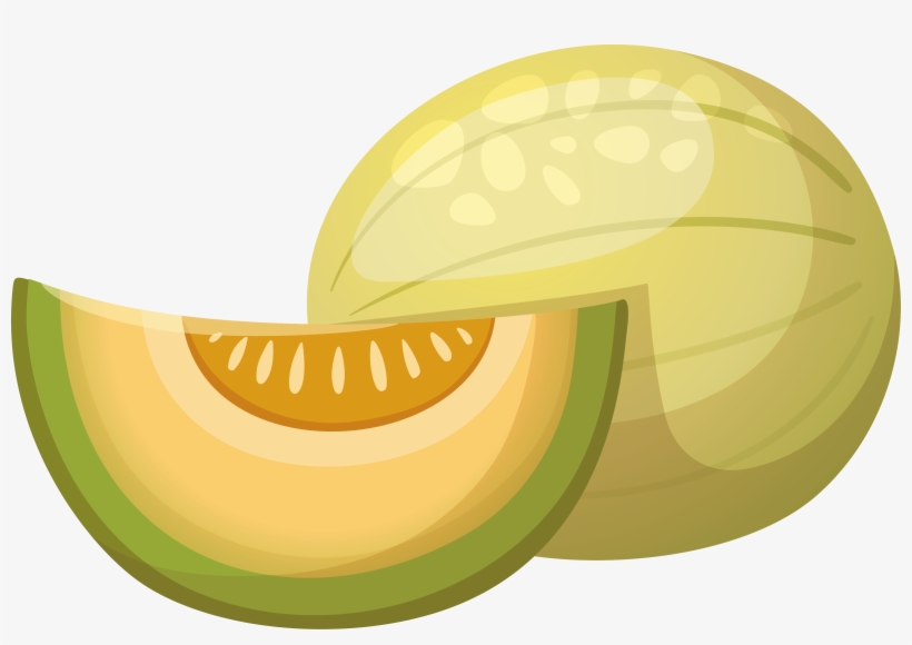 Vector Hami Fruit Fruits And Vegetables Transprent - Cartoon Honeydew Png, transparent png download