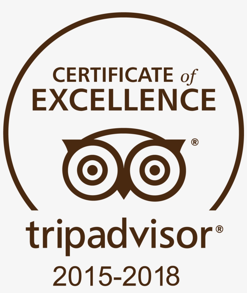 Tripadvisor - Circle, transparent png download