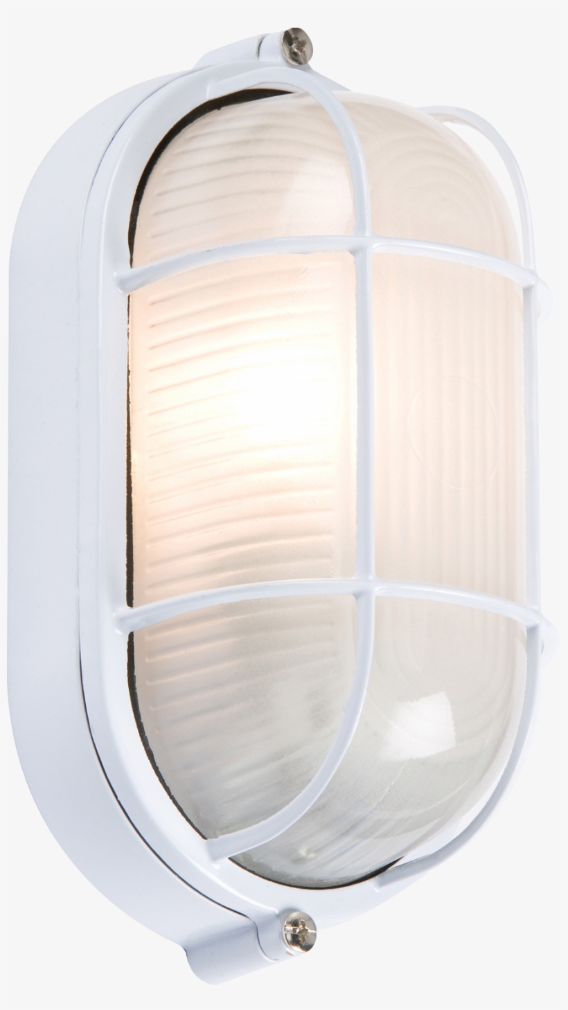 230v Ip54 60w White Oval Bulkhead With Wire Guard And - Lampshade, transparent png download
