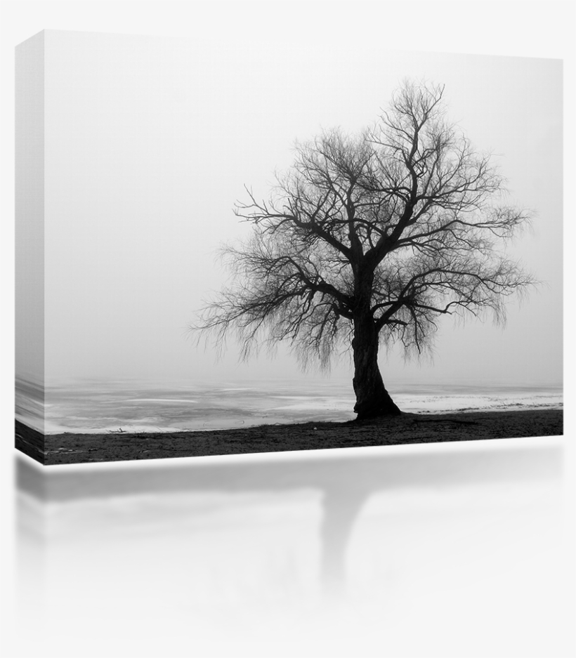 Don T Give Me Flowers When I M Gone, transparent png download