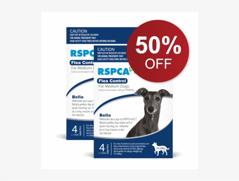 *special Offer 50% Off When You Buy 2 Packs - Dog, transparent png download