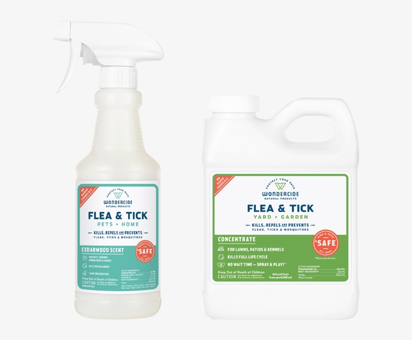 Bottle, transparent png download