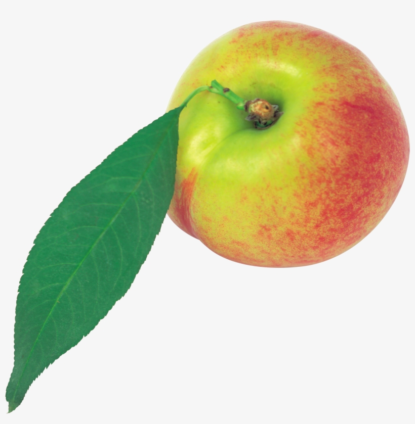 Peach, transparent png download
