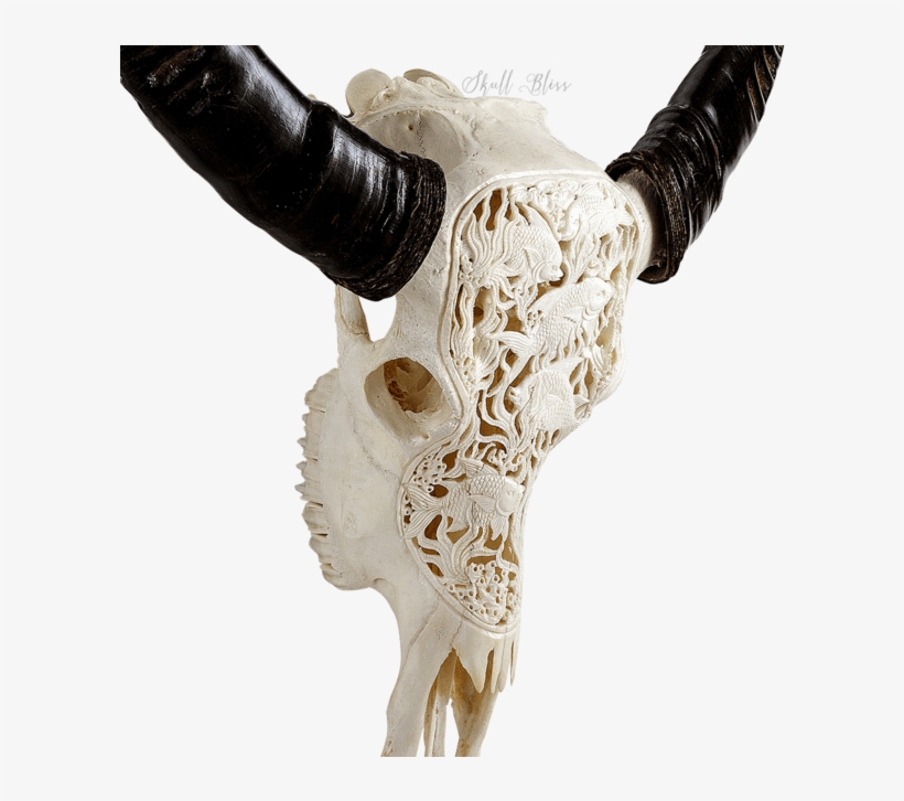 Carved Buffalo Skull - Horn, transparent png download
