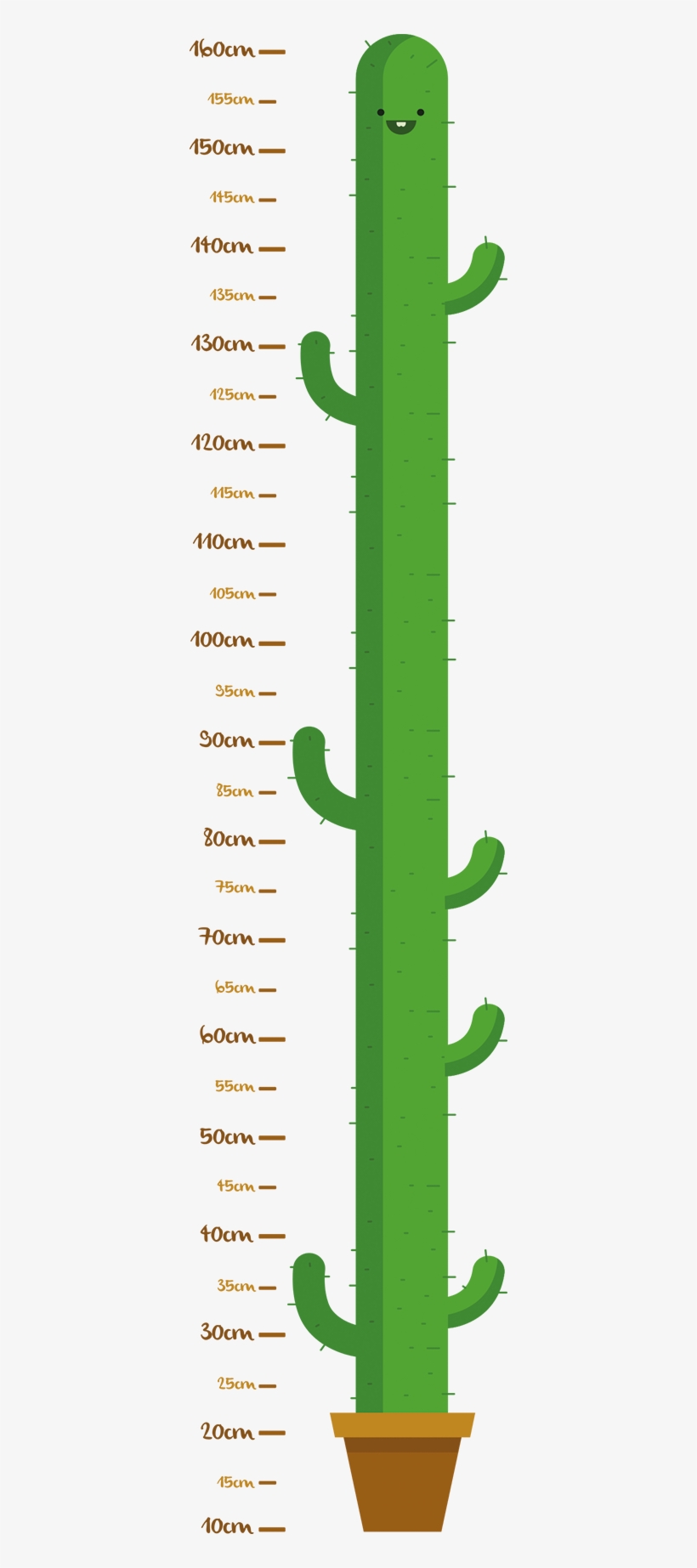 Child Cactus Height Measurement Wall Sticker - Measurement Wall, transparent png download