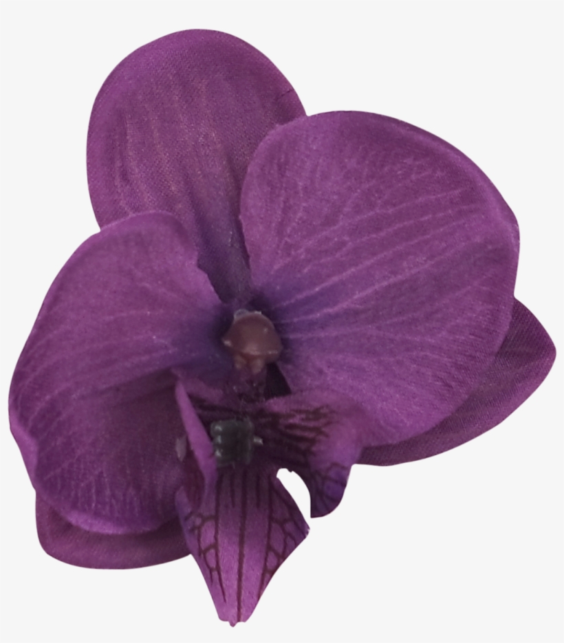 Lana Orchid Clip - Artificial Flower, transparent png download