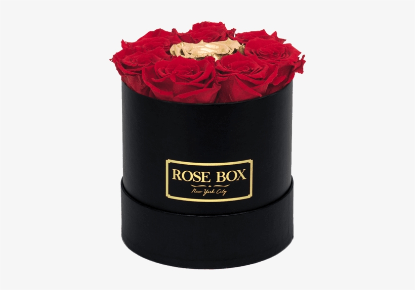 Prev - Garden Roses, transparent png download