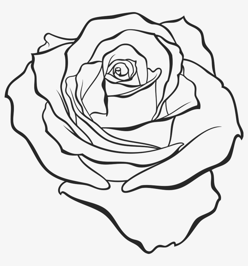 790 X 800 5 - Line Art, transparent png download