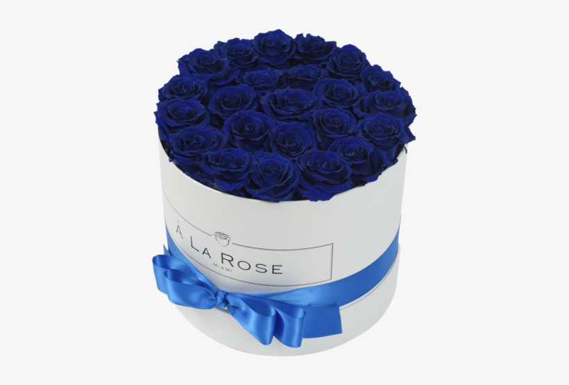 Professional Royal Blue Roses And Black Roses Delivery - Rose, transparent png download