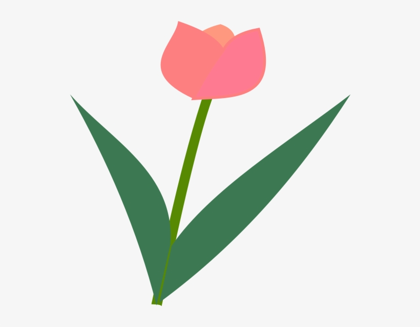 Tulip Flower - Icon - Sprenger's Tulip, transparent png download