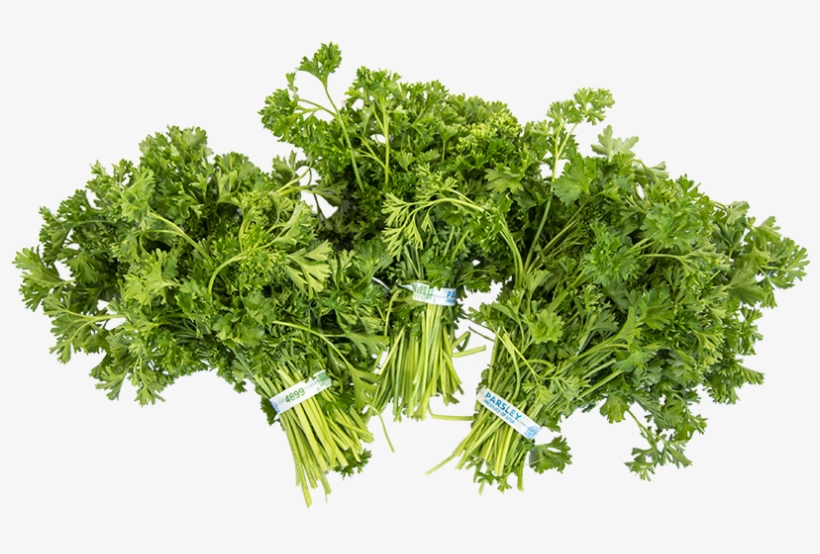 Our Italian Parsley Comes In 1, 2 1/2, And 5 Dozen, - Parsley, transparent png download