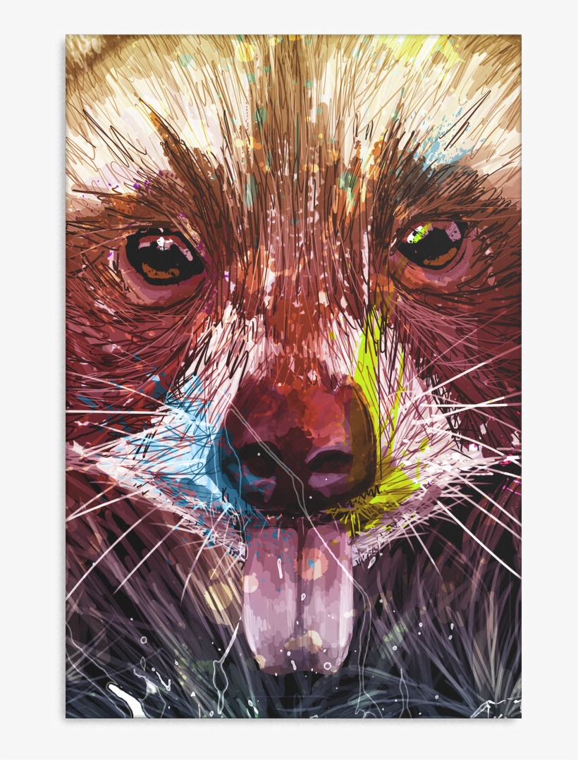 Racoon Canvas P96 - Red Fox, transparent png download