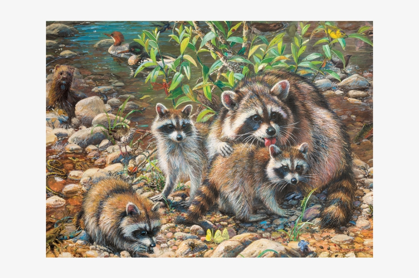 Family Pieces Puzzle - Family Of The Raccoon, transparent png download