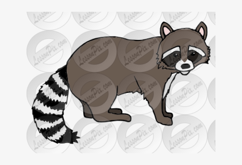 Racoon Clipart - Portable Network Graphics, transparent png download