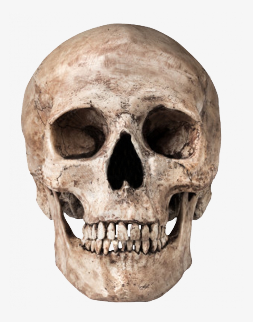 Skull Png - World Golf Championships Mexico, transparent png download