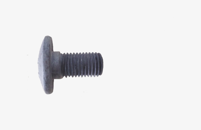 Round Head Oval Neck Bolt - Tool, transparent png download
