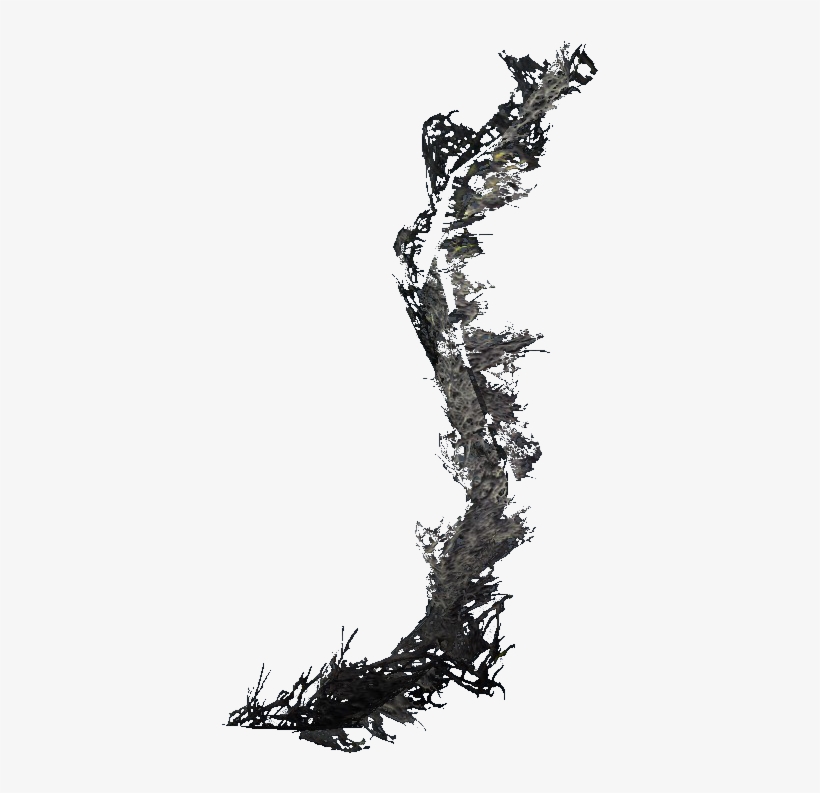 Moss Png Black, transparent png download