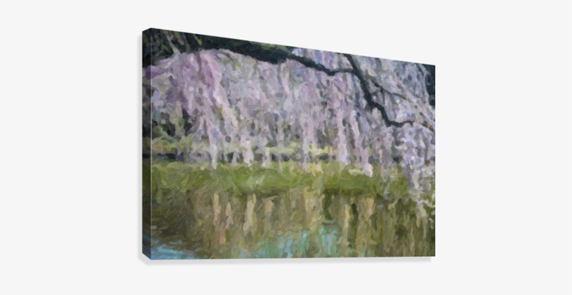 Hanging Cherry Blossoms Canvas Print - Painting, transparent png download