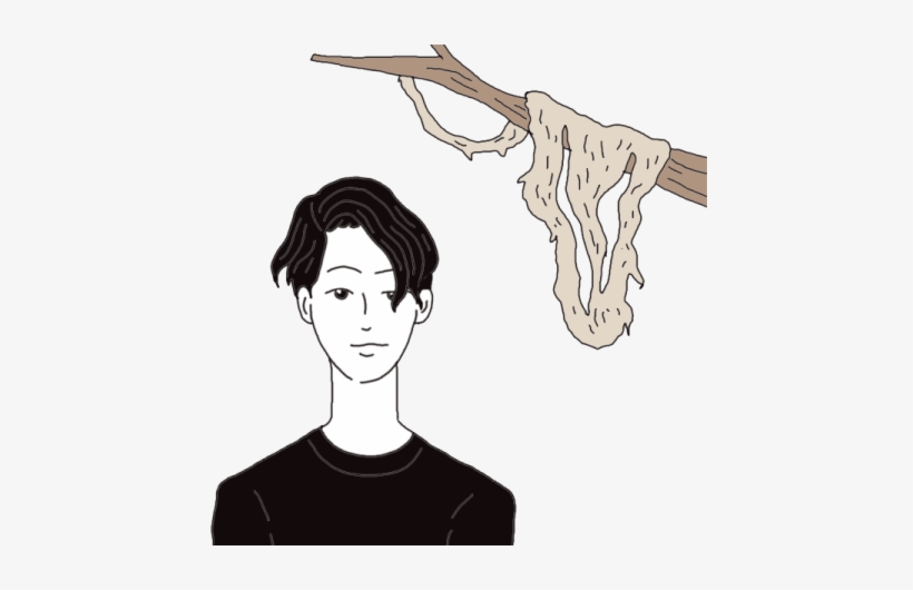 Spanish Moss - Library, transparent png download