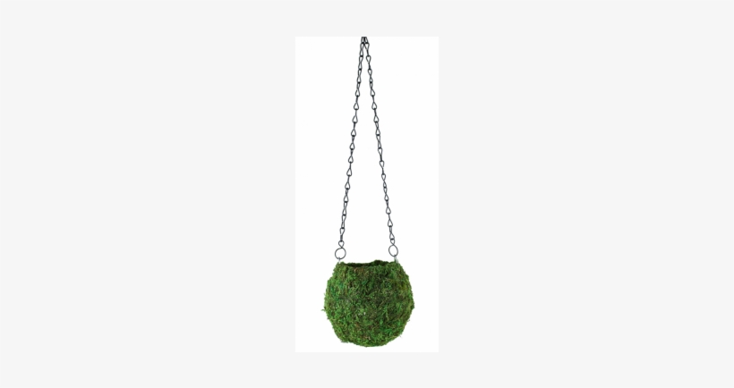 Green Kokedama Moss Hanging Ball Planter - Chain, transparent png download