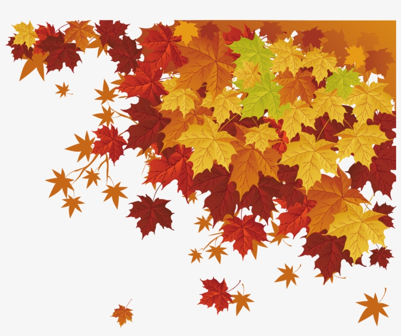 Clip Transparent Autumn Leaf Color Maple Transprent - Autumn Leaves 7 Shower Curtain, transparent png download