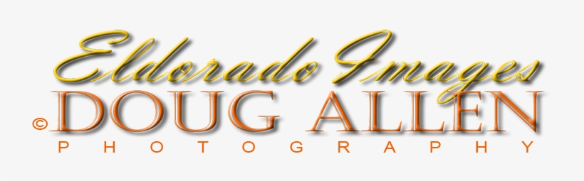 Posts Tagged “spanish Moss”, transparent png download