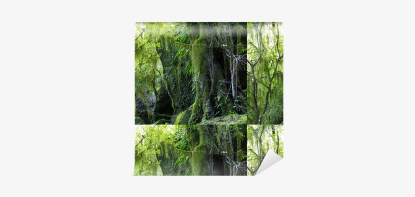 Riparian Forest, transparent png download