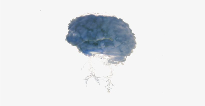 Sketch, transparent png download