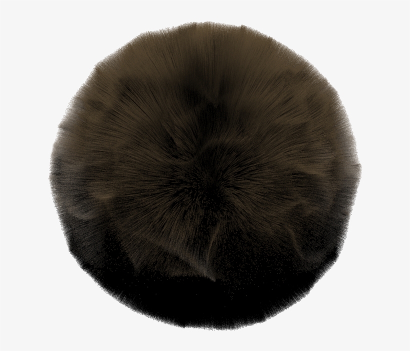 As - Fur Clothing, transparent png download