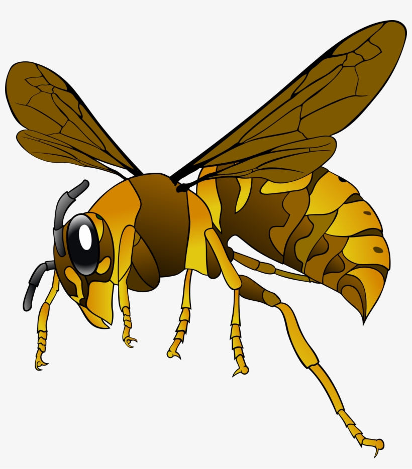 This Free Icons Png Design Of Brown-yellow Hornet, transparent png download