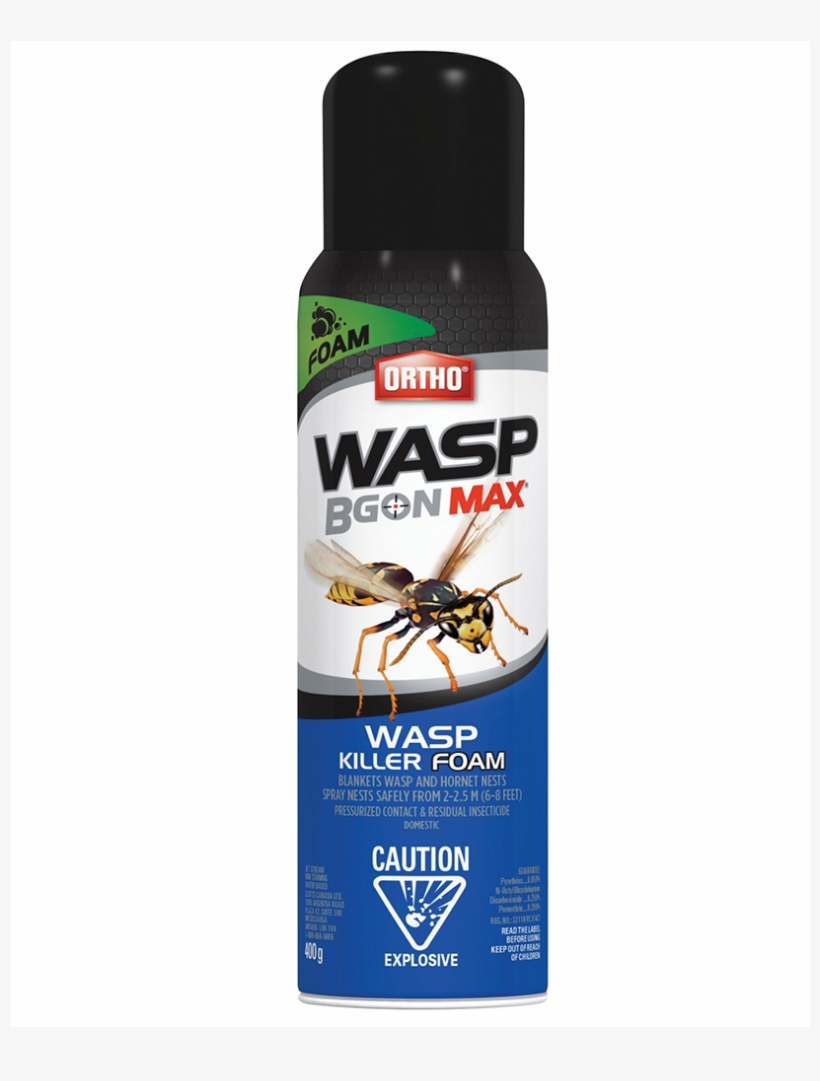 Wasp Foam Product Image - Wasp B Gon, transparent png download