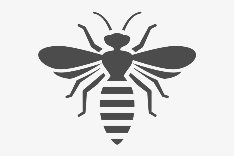 Find Wasp Exterminators In Nashville Tn - Black And White Bee Png, transparent png download