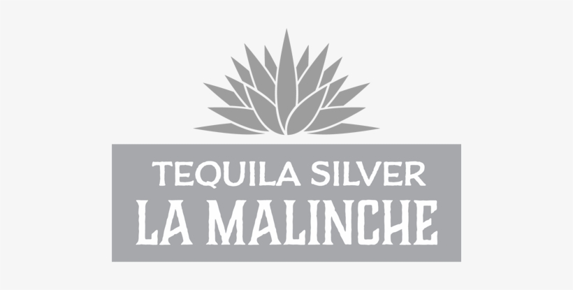 Líquido Y Cristalino, Con Matices De Color Plata Y - Plantation, transparent png download