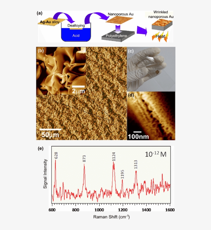 A) A Schematic Describing The Preparation Of Wrinkled - Bread, transparent png download