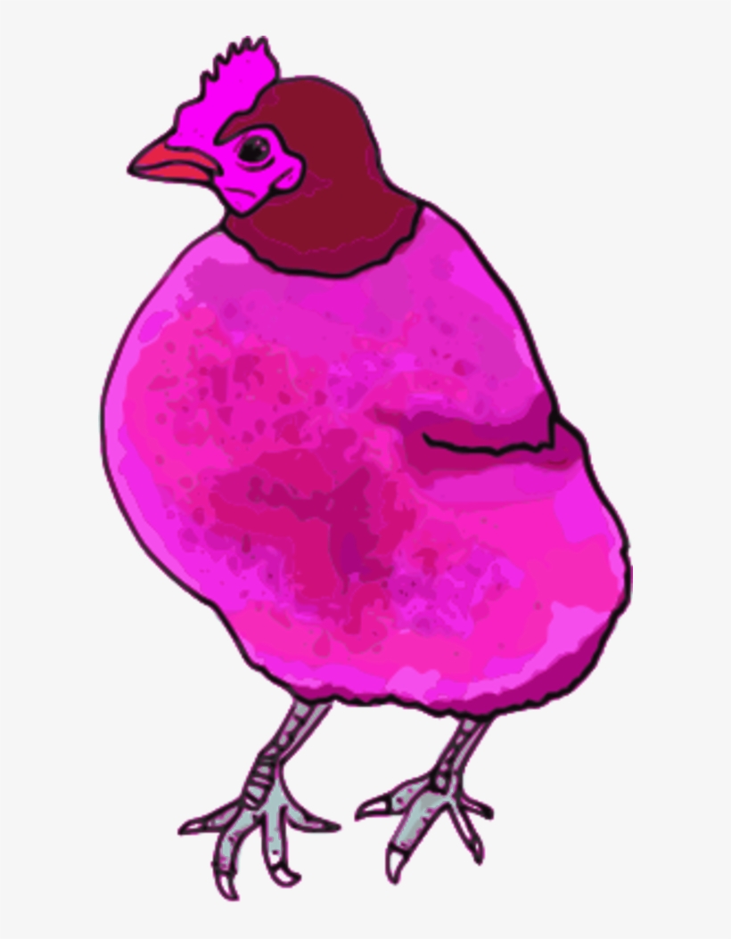 Chicken Hen Vector Clip Art Image - Pink Chiken Png, transparent png download
