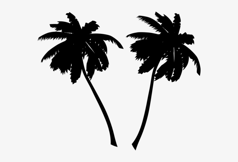 Palms, Trees, Black, Silhouettes - Palm Tree Black And White, transparent png download