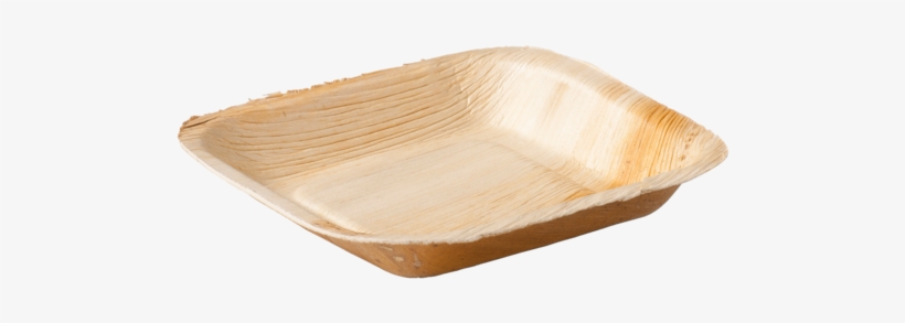 Biodore® Plate, Square , Palm Frond, 17x17cm, - Square Palm Leaf 24cm Biodegradable Plate (pack, transparent png download